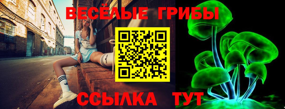 Чернушка  Псилоцибиновые грибы Magic Shrooms  Псилоцибиновые грибы Psilocybine cubensis  Вход с VPN 
